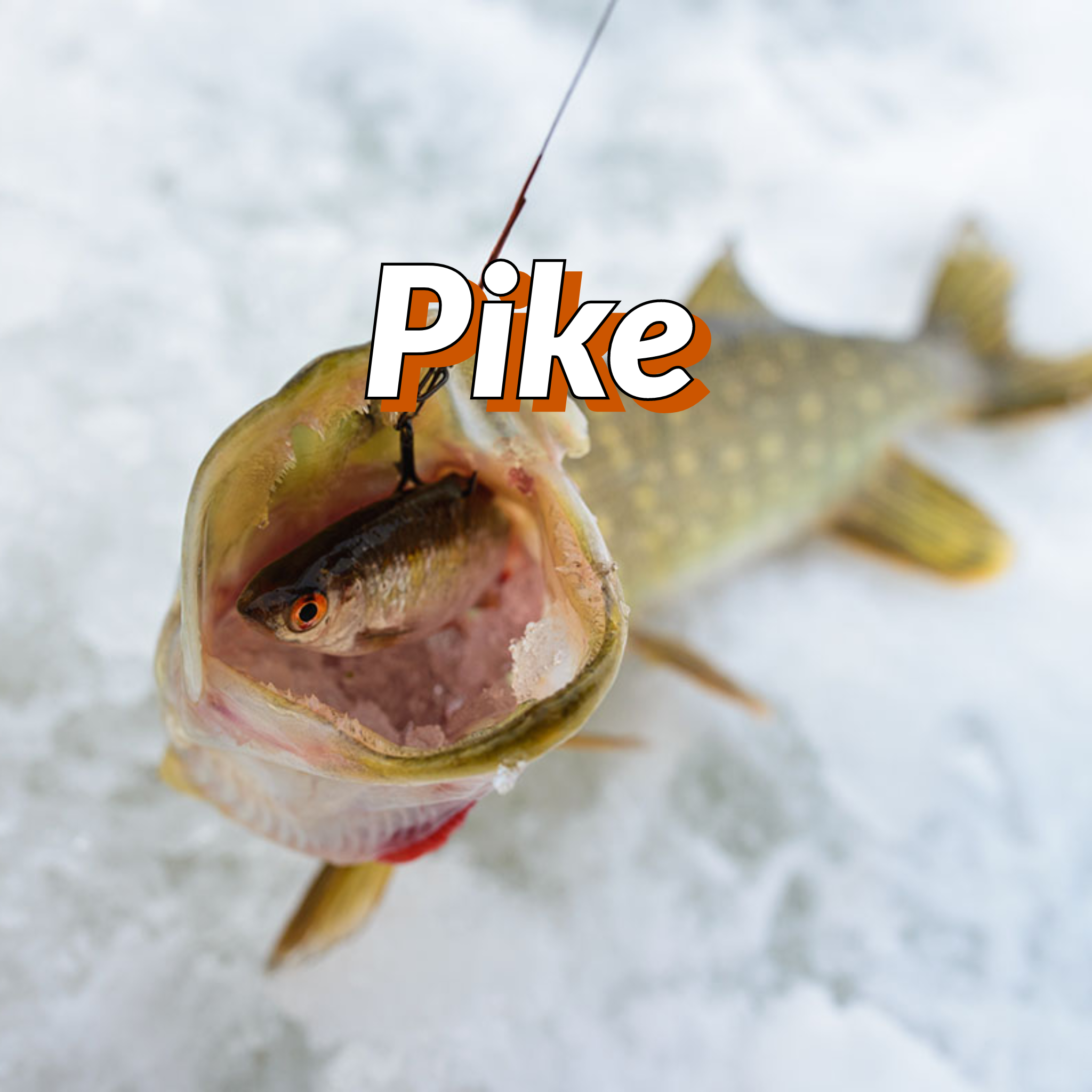 best lure for pike ice fishing BRAIRIA Lures, 4Pcs Spinner Baits Predator Lures with Rabbit Tail & Long Skirt Northern Pike & Largemouth Bass Fresh Water Fishing : Sports & Outdoors Pike Mane Lures